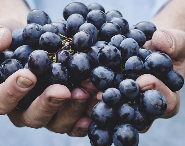 VISITE DE BORDEAUX AVANT SCENE PAU