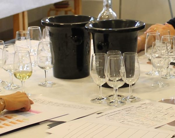 AVANT SCENE ATELIER OENOLUDIQUE JEUX PAU ET BIARRITZ