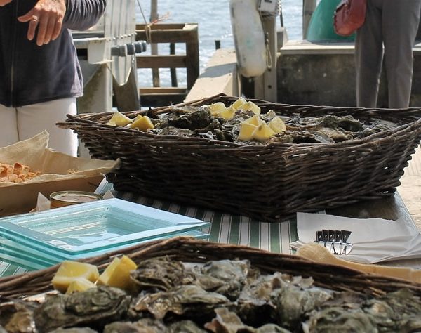VISITE DE CABANES OSTREICOLES BASSIN ARCACHON AVANT SCENE BIARRITZ