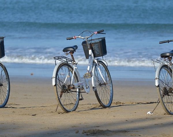 VISITE EN VELO AVANT SCENE PAU ET BIARRITZ