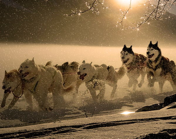 TRAINEAU AVANT SCENE PAU