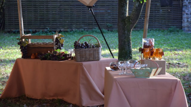 garden party sud ouest