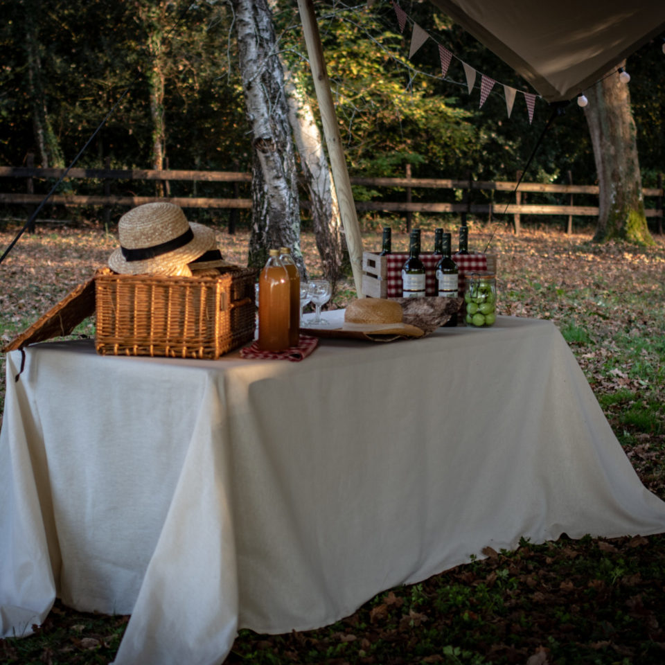 AVANT SCENE LIEUX GUINGUETTE PAU ET BIARRITZ