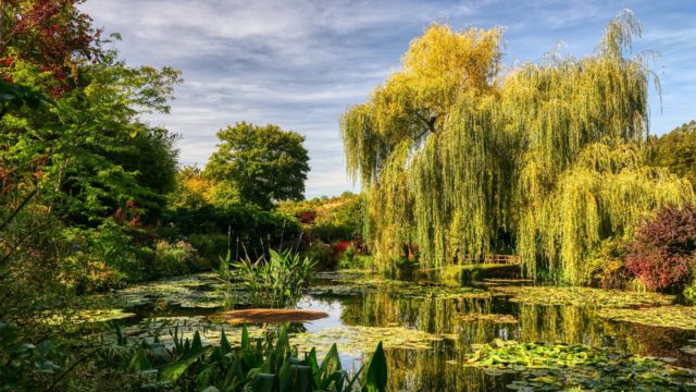 jardin monet