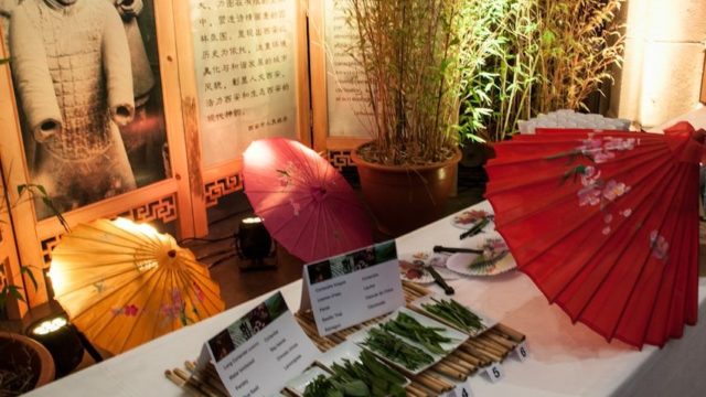 animation saveurs du monde avant scene (1)