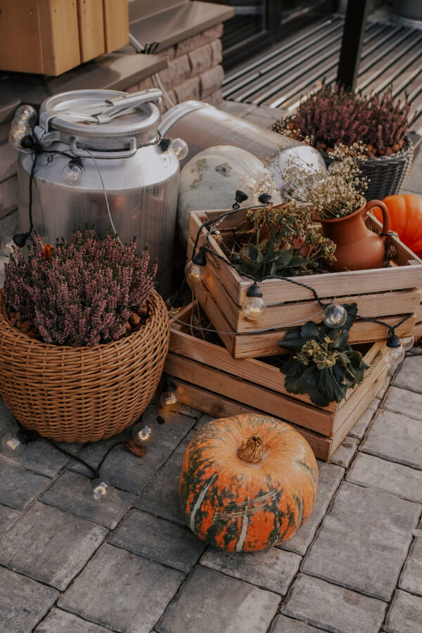 AVANT SCENE DECORATION BOHEME