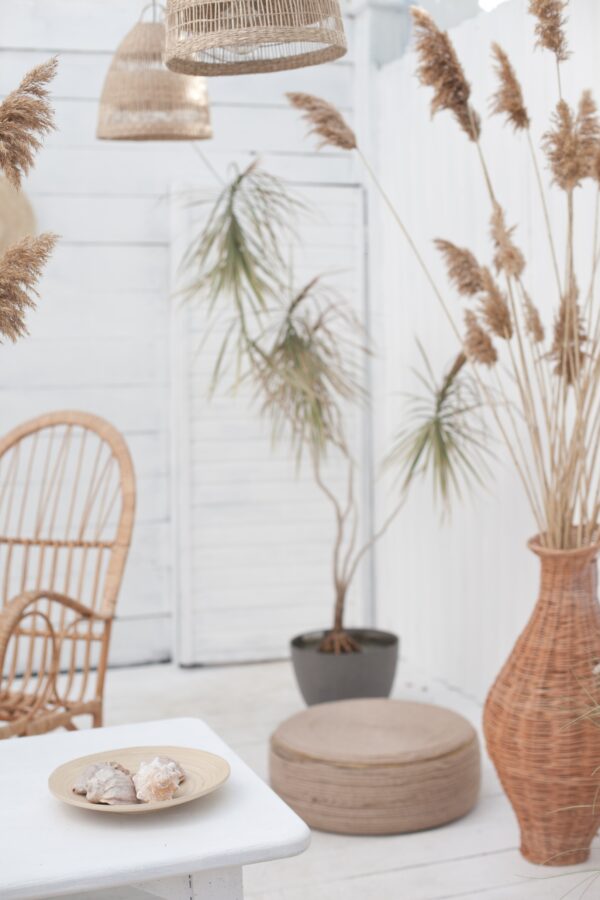 AVANT SCENE DECORATION PAU