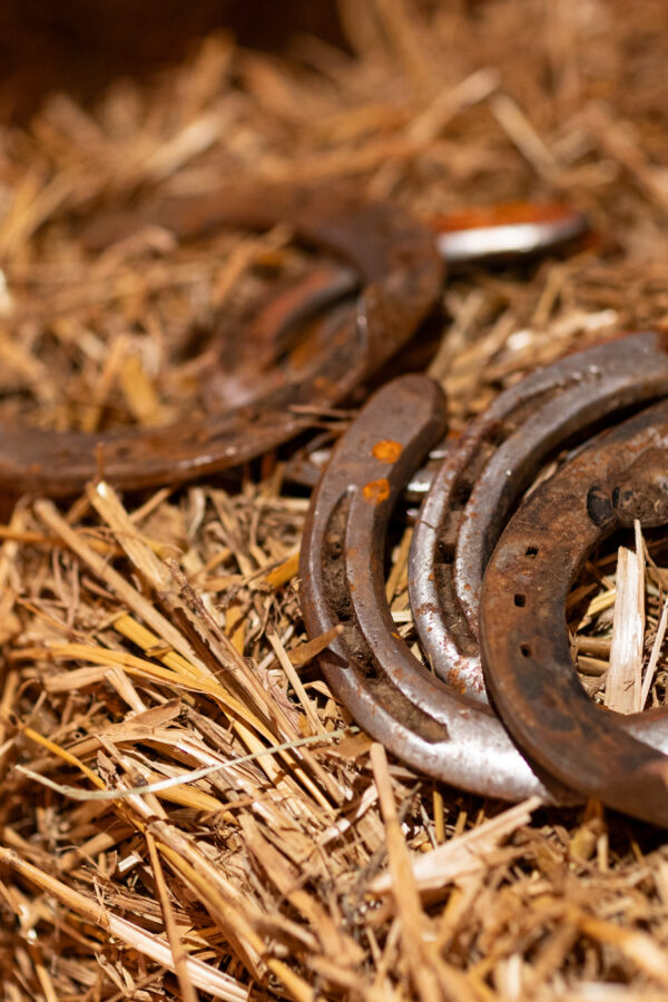 AVANRT SCENE SCENOGRAPHIE FAR WEST