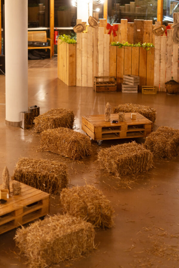 FAR WEST DECORATION AVANT SCENE