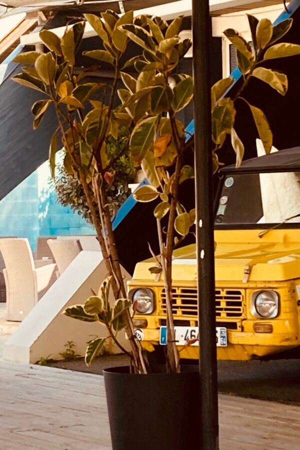 AVANT SCENE – BIARRITZ – SCENOGRAPHIE – BEACH CLUB